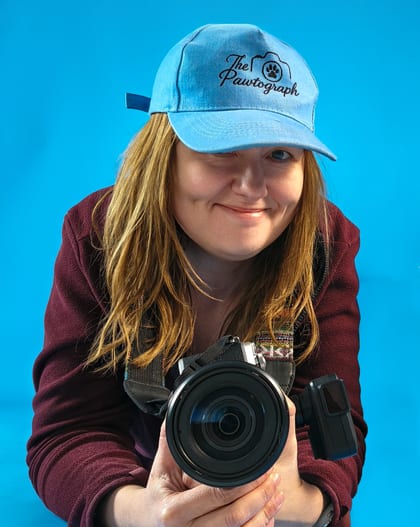 Câine zâmbitor fotografiat în studio